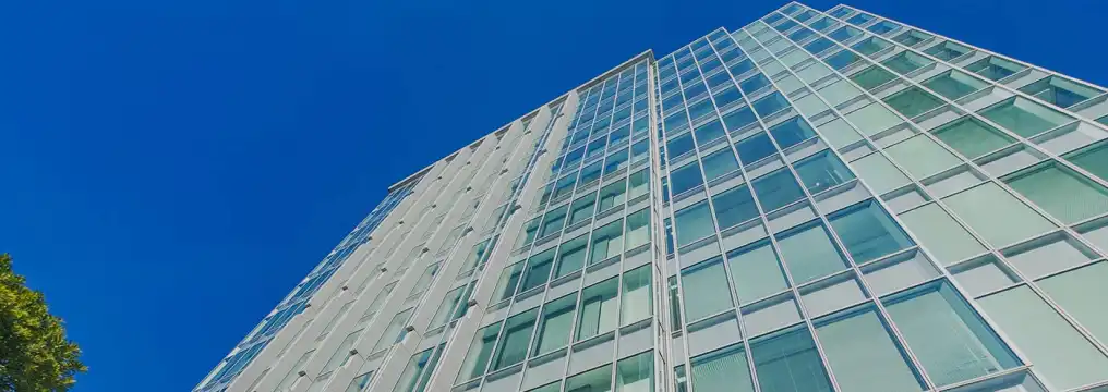 Company Profile